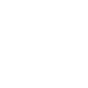 Globe dark.png